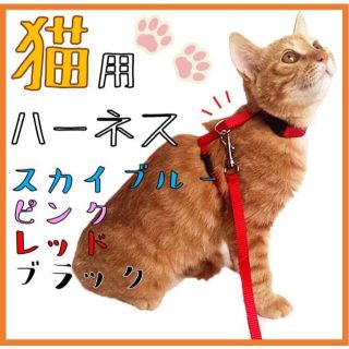 【割引有】猫用ハーネス リード お散歩 レッド(猫)