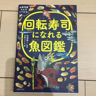 回転寿司になれる魚図鑑(絵本/児童書)