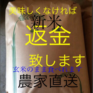 柴犬様専用　無農薬　純こしひかり30㎏  玄米(米/穀物)