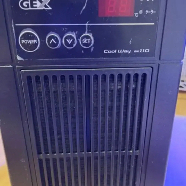 本物の Gex 水槽用クーラー 値引き可 クールウェイbk110 アクアリウム Revuemusicaleoicrm Org 本物の Gex 水槽用クーラー 値引き可 クールウェイbk110 アクアリウム Revuemusicaleoicrm Org
