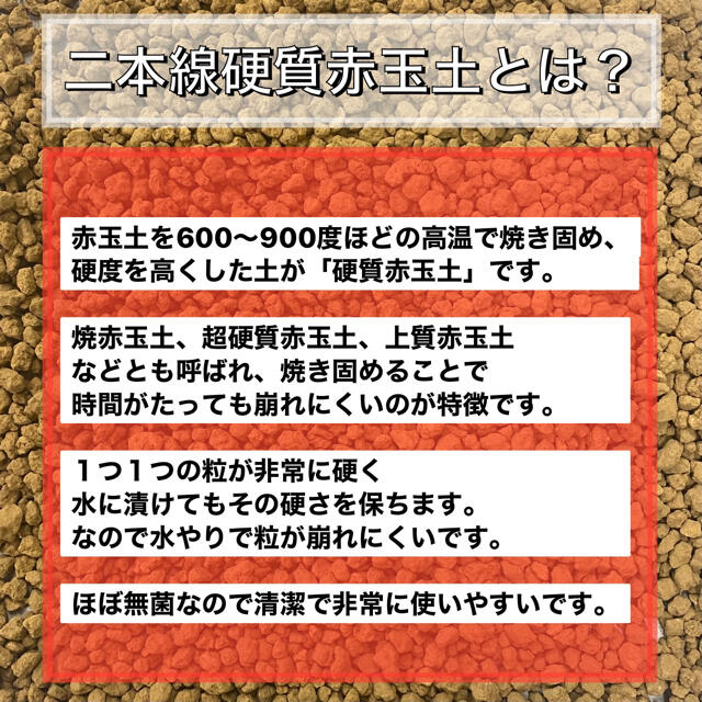 ⭐︎二本線硬質赤玉土 小粒⭐︎ 1ℓ 小粒 多肉植物 サボテン 観葉植物 土 の通販 by 庭知｜ラクマ