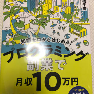 プログラミング副業で月収10万円(ビジネス/経済)