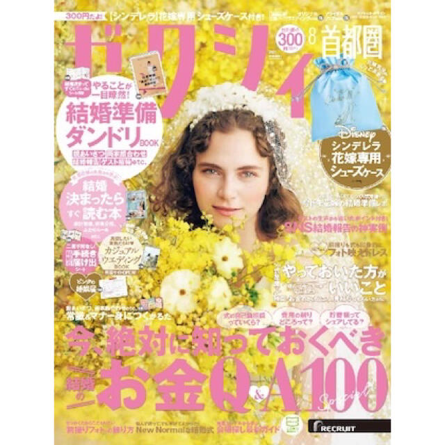 シンデレラ(シンデレラ)のゼクシィ2021年8月号(付録)Disneyシンデレラ シューズケース2個セット レディースの靴/シューズ(その他)の商品写真