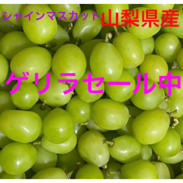 山梨県産　シャインマスカット　800g 食品/飲料/酒の食品(フルーツ)の商品写真