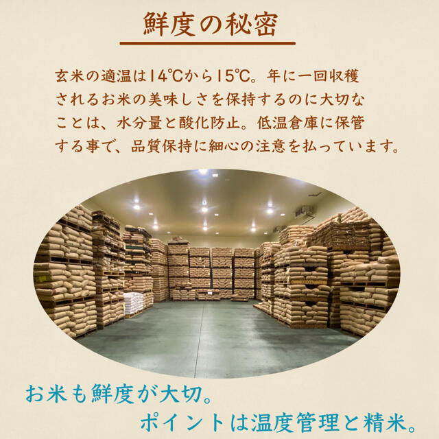 令和2年産 生活応援米 24kg コスパ米 米びつ当番プレゼント付き お米 激安食品/飲料/酒