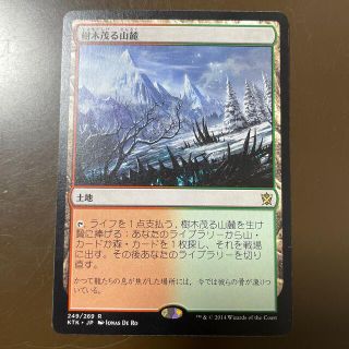 マジックザギャザリング(マジック：ザ・ギャザリング)のMTG＊樹木茂る山麓＊WoodedFoothills＊KTK＊日本語＊EX(シングルカード)