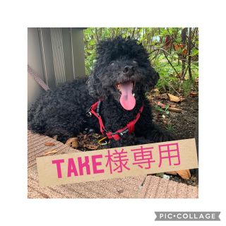 ザラ(ZARA)のtake様専用(ダウンジャケット)