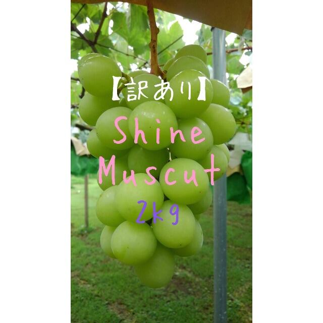 ✳︎訳あり✳︎ ぶどう【シャインマスカット】2キロ箱