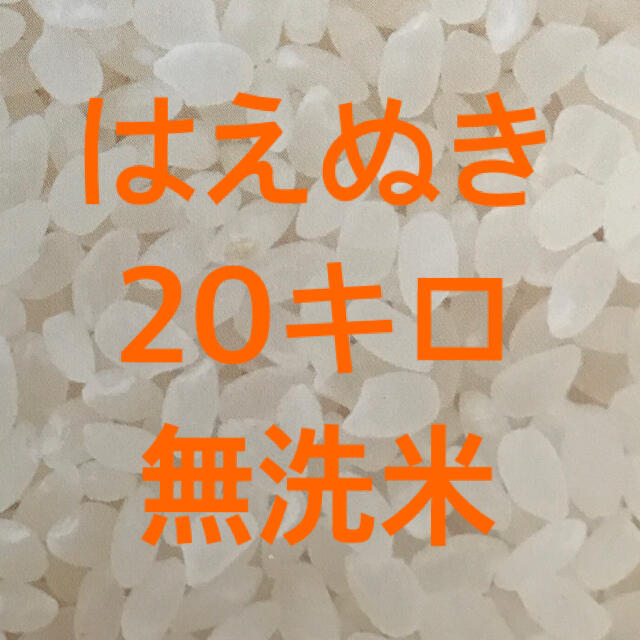 20キロ　無洗米　はえぬき　令和2年京都産れんげ米