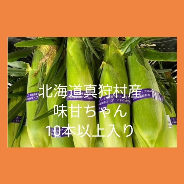 北海道真狩村産とうもろこし、品種は味甘ちゃん 食品/飲料/酒の食品(野菜)の商品写真