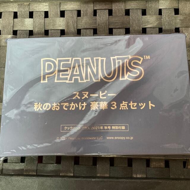 PEANUTS(ピーナッツ)のスヌーピー　秋のおでかけ豪華3点セット レディースのバッグ(トートバッグ)の商品写真