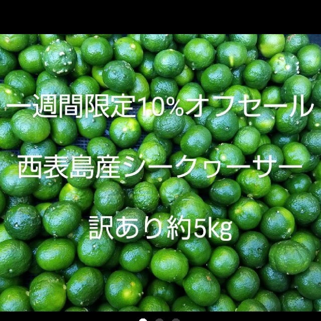 沖縄県西表島産シークヮーサー 訳あり５㎏ 食品/飲料/酒の食品(フルーツ)の商品写真