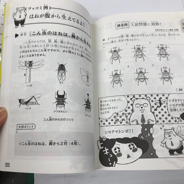 中学入試対応ツッコミ！理科 エンタメ/ホビーの本(科学/技術)の商品写真