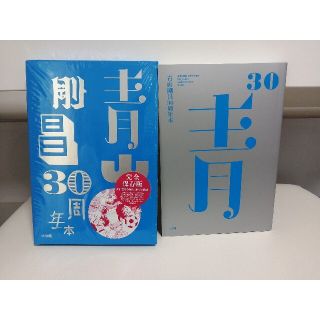 ショウガクカン(小学館)の青山剛昌３０周年本(その他)