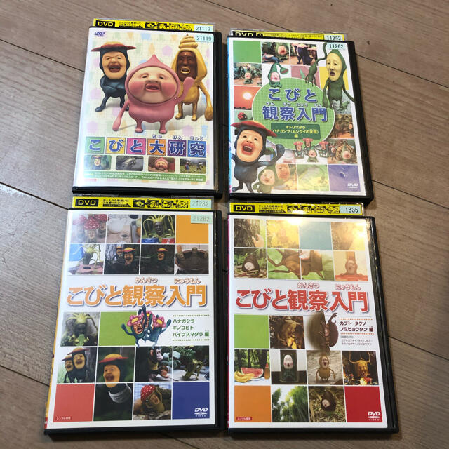 こびと観察入門 こびと大研究　DVD 4巻セット