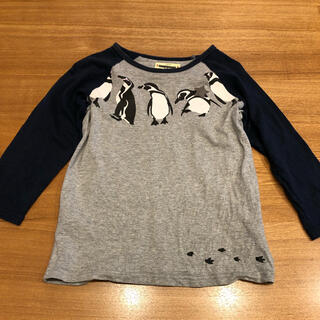 ベルメゾン(ベルメゾン)の【GITA】ペンギン柄七分袖シャツ　140サイズ(Tシャツ/カットソー)