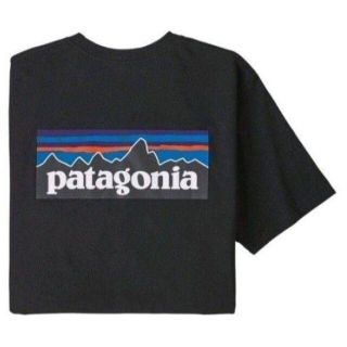 パタゴニア(patagonia)のXSサイズ　パタゴニア tシャツ ロゴt P-6ロゴ レスポンシビリティ(Tシャツ/カットソー(半袖/袖なし))