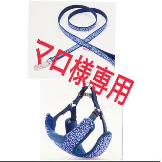 ペティオ Petio 犬雅 唐草 平首輪 M (20キロまで)(犬)
