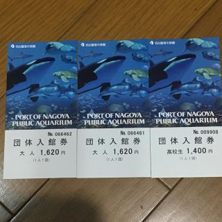 ★☆名古屋港水族館入場券 【大人二枚と高校生一枚】☆★(水族館)