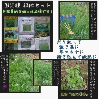 ハッピータイム様専用(野菜)