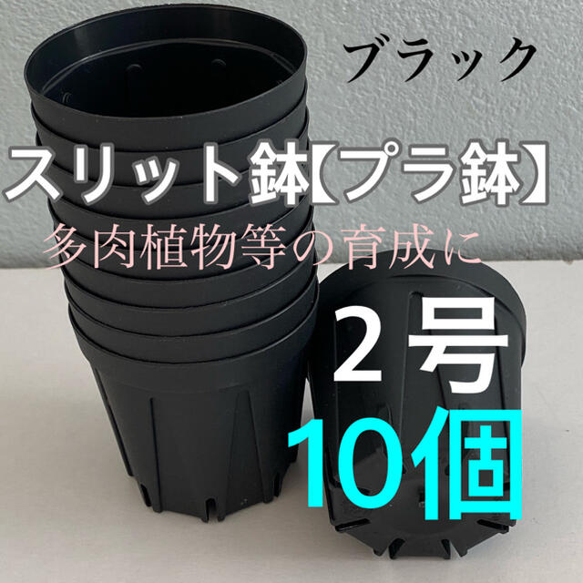 スリット鉢2号　直径6センチ　10個★KANEYA CSM-60 ハンドメイドのフラワー/ガーデン(プランター)の商品写真