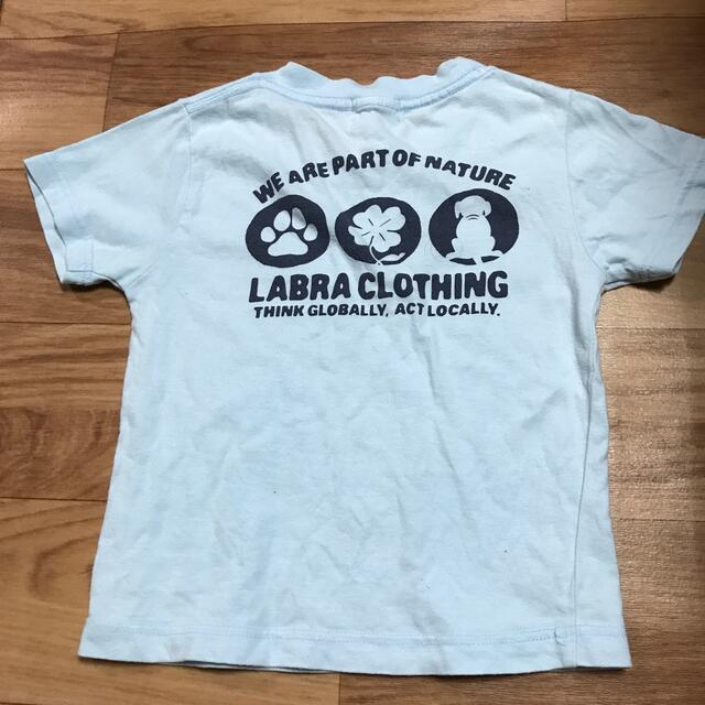 Labrador Retriever(ラブラドールリトリーバー)のTシャツ☆100☆ラブラドール キッズ/ベビー/マタニティのキッズ服男の子用(90cm~)(Tシャツ/カットソー)の商品写真