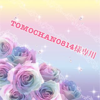 TOMOCHAN0814様専用(その他)