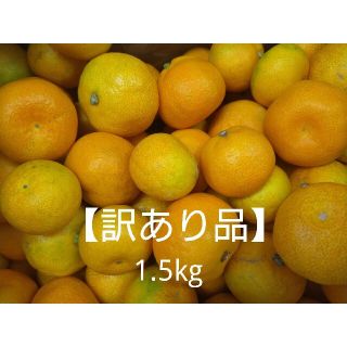 【訳あり品】山北温室みかん 興津早生 3S～小玉 1.5㎏ 高知県産(フルーツ)