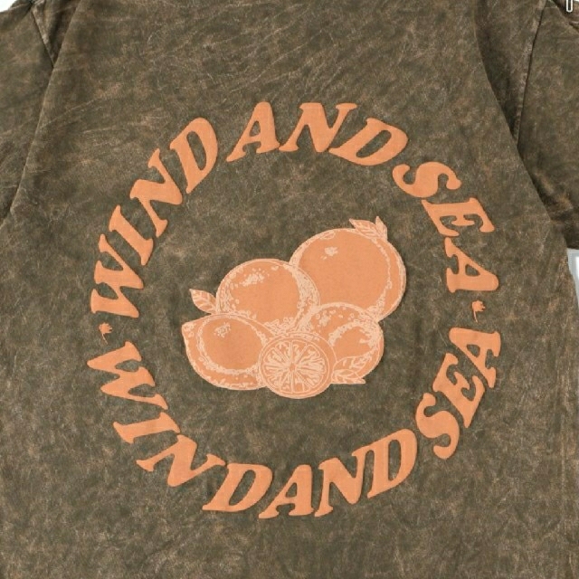 SEA(シー)のウィンダンシー　Lサイズ　 メンズのトップス(Tシャツ/カットソー(半袖/袖なし))の商品写真