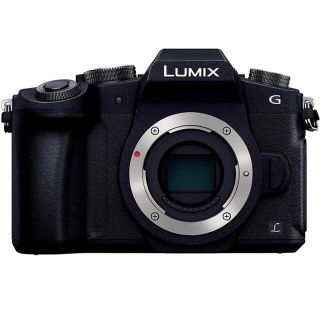 パナソニック(Panasonic)のPanasonic LUMIX G8(ミラーレス一眼)