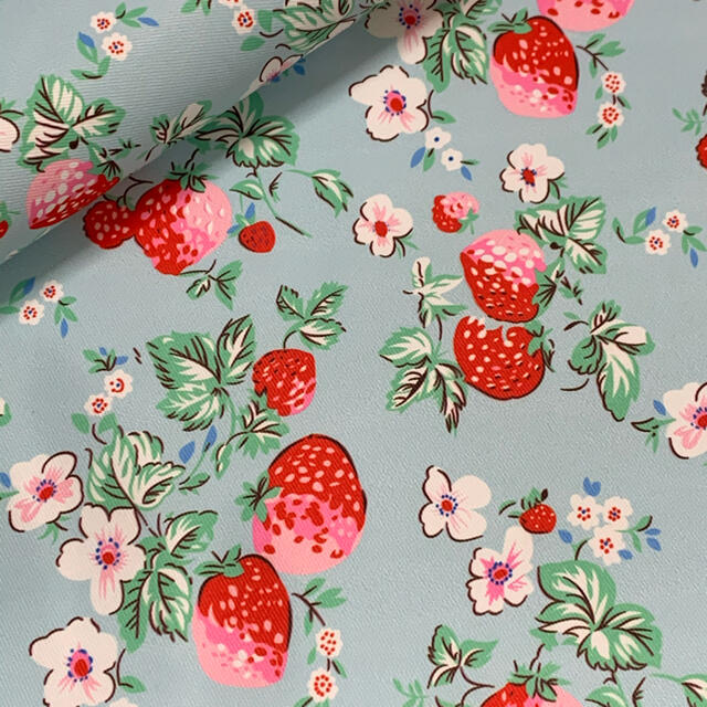 Cath Kidston(キャスキッドソン)の(1179)輸入品 Cath Kidstonキャスキッドソン ナイロン生地 ハンドメイドの素材/材料(生地/糸)の商品写真