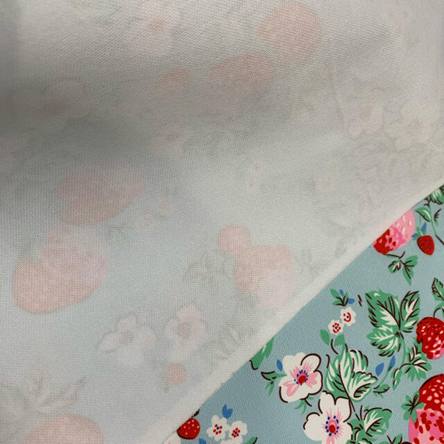 Cath Kidston(キャスキッドソン)の(1179)輸入品 Cath Kidstonキャスキッドソン ナイロン生地 ハンドメイドの素材/材料(生地/糸)の商品写真