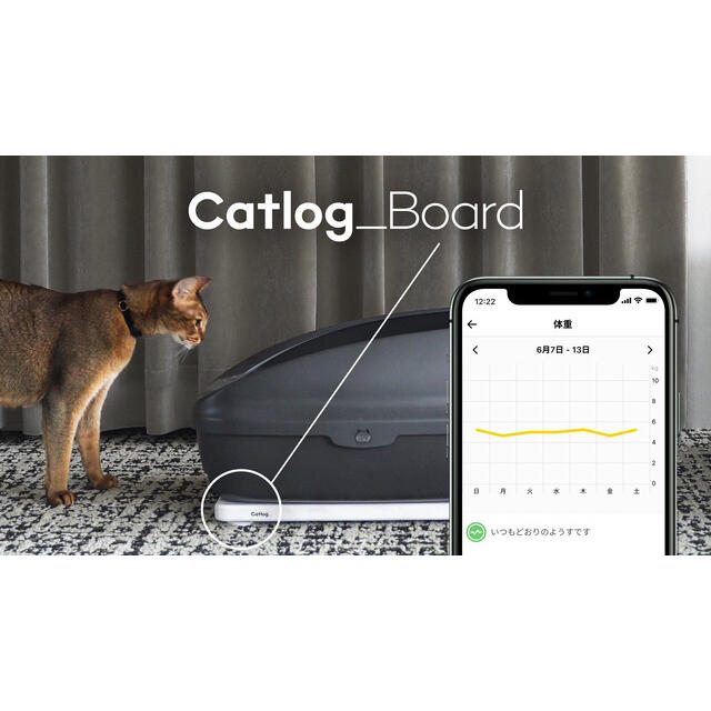 まるまる様専用【新品】catlog board キャトログボード 人気TOP