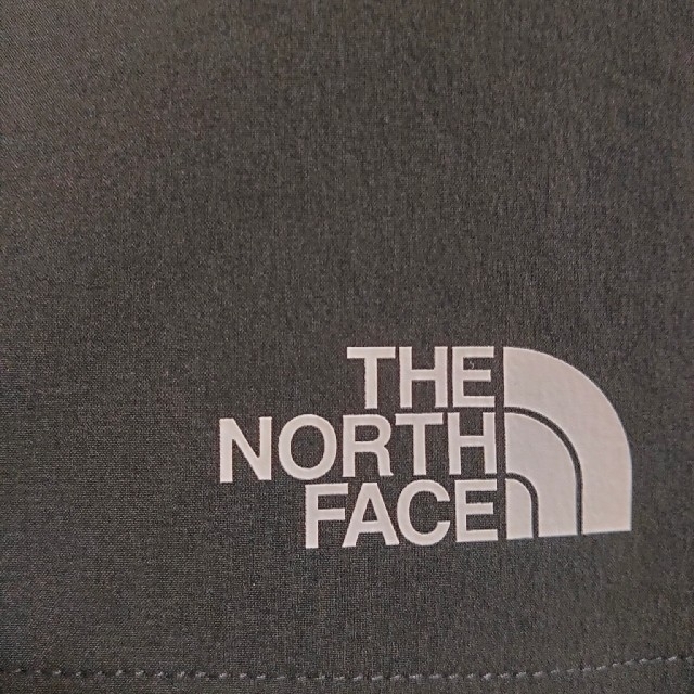 THE NORTH FACE(ザノースフェイス)のTHE NORTH FACE  フレキシブルマルチショーツ メンズのパンツ(ショートパンツ)の商品写真