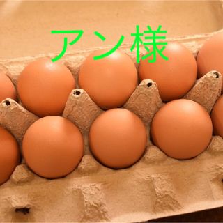 アン様専用　平飼いたまご50個(野菜)