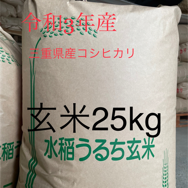 玄米25キロ⭐︎精米⭐︎　三重県産コシヒカリ　農家直送！令和3年産　米/穀物