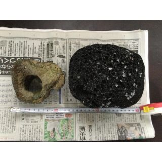 溶岩石と珊瑚岩(アクアリウム)