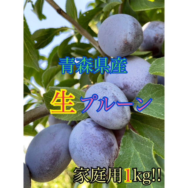 91%OFF!】【91%OFF!】青森県産 プルーン シュガープルーン 5kg 箱込み 果物