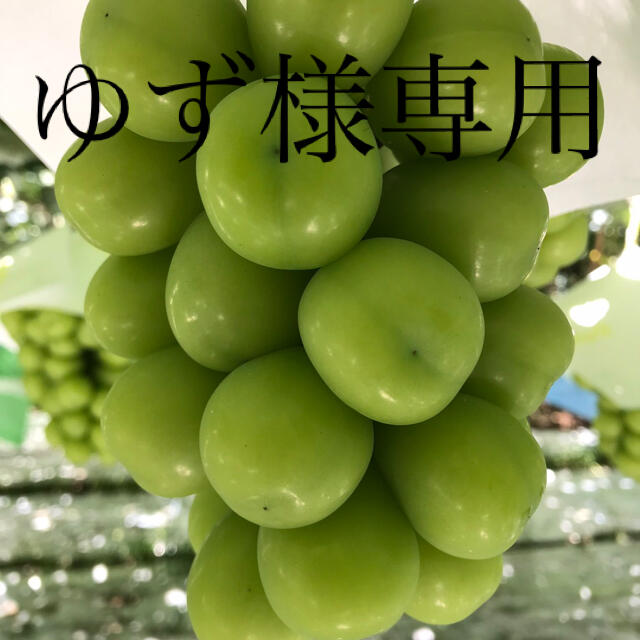 ゆず様専用 山梨県産シャインマスカット4kg 驚きの値段で inkai.org