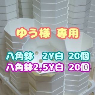 プラ八角鉢 カネヤ【2.5Y】20個 他 多肉植物 プレステラ(プランター)