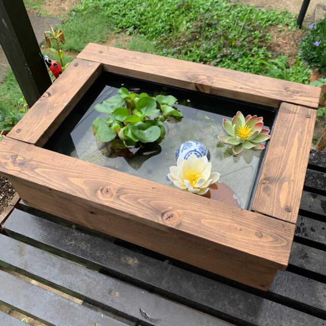 送料無料 慶屋ビオトープ木枠 飼育セット メダカ 金魚 アクアリウム 水槽の通販 By 慶屋 Yorokobiya ラクマ 送料無料 慶屋ビオトープ木枠 飼育セット メダカ 金魚 アクアリウム 水槽の通販 By 慶屋 Yorokobiya ラクマ