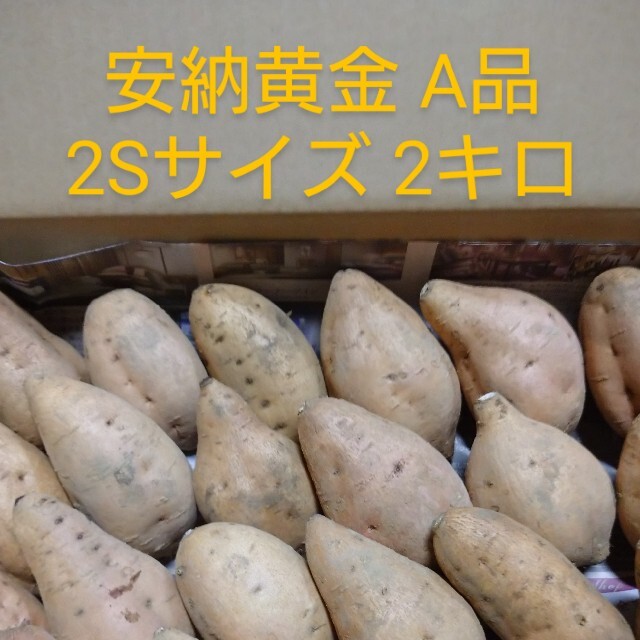 種子島安納黄金 2S 2キロ 食品/飲料/酒の食品(野菜)の商品写真