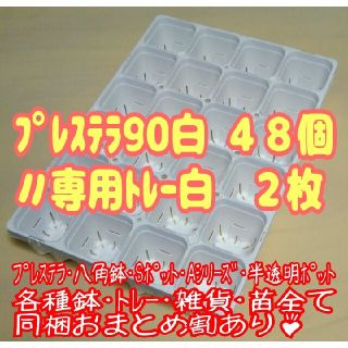 【スリット鉢】プレステラ90白48個＋専用システムトレー白2枚 プラ鉢 多肉植物(プランター)