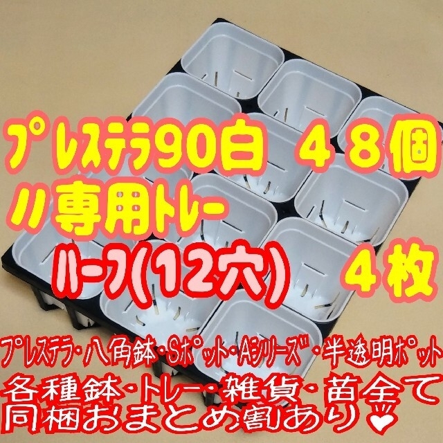 【スリット鉢】プレステラ90白48個＋専用システムトレー:ハーフ4枚他プラ鉢多肉 ハンドメイドのフラワー/ガーデン(プランター)の商品写真