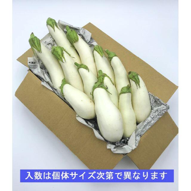 《クール便》新潟 伝統野菜 「 越後の白ナス 1.5kg 」 新鮮 詰合せ 食品/飲料/酒の食品(野菜)の商品写真