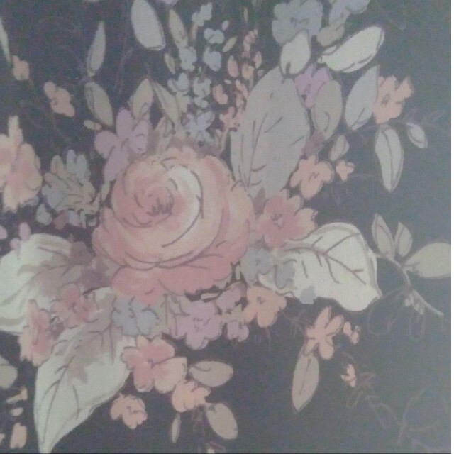 Rose Tiara(ローズティアラ)のローズティアラ シアースリーブ パフスリーブ フリル 花柄ワンピ 大きいサイズ レディースのワンピース(ひざ丈ワンピース)の商品写真