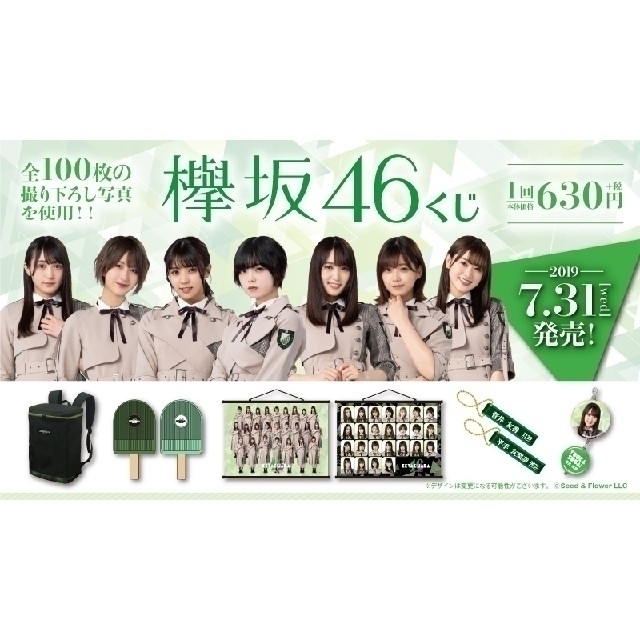 欅坂46(けやき坂46)(ケヤキザカフォーティーシックス)の欅坂46 キーホルダーセット エンタメ/ホビーのタレントグッズ(女性タレント)の商品写真