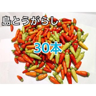 沖縄県産島とうがらし30本(野菜)