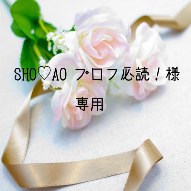 SHO♡AO プロフ必読！　お米　令和3年　愛媛県産コシヒカリ　白米　20