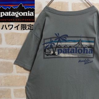 パタゴニア(patagonia)のPatagonia パタゴニア pataloha パタロハ Tシャツ グレー M(Tシャツ/カットソー(半袖/袖なし))